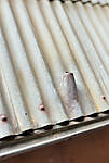 IMG_20220103_095932_b.jpg