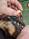 IMG_20220120_122520_b.jpg