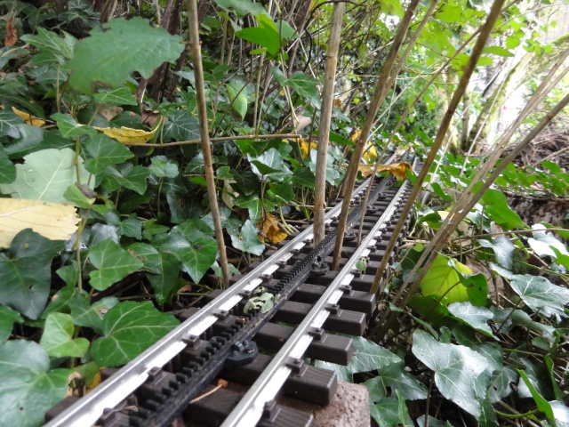 Zahnradbahn