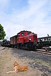 3560Tage_der_Eisenbahnfreunde_2012_321.JPG