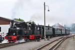 3560Tage_der_Eisenbahnfreunde_2012_492.JPG