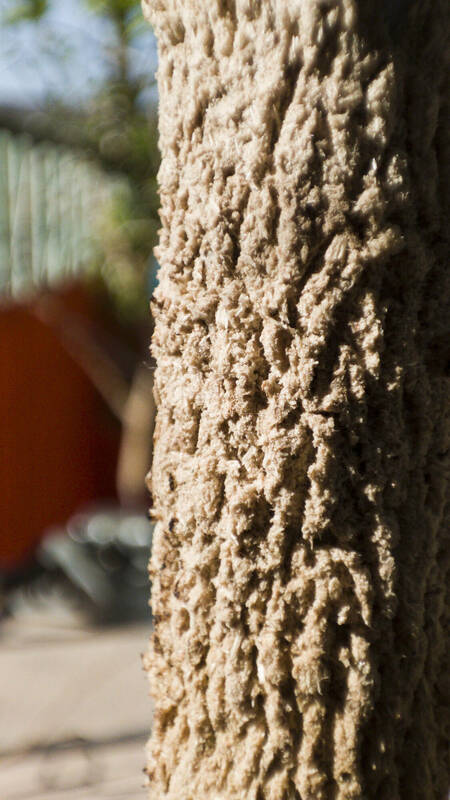 IMG_20230527_172520_1b