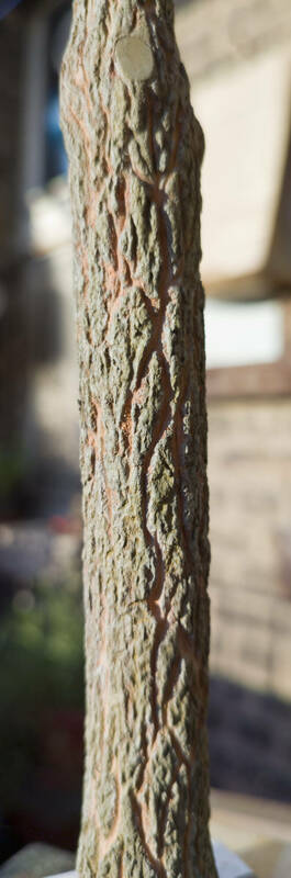 IMG_20230604_201304b