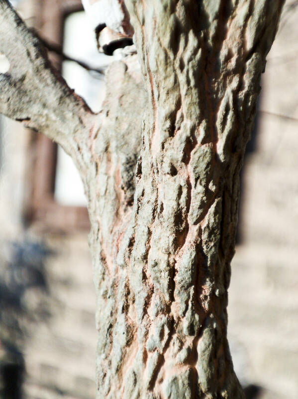 IMG_20230604_201427b