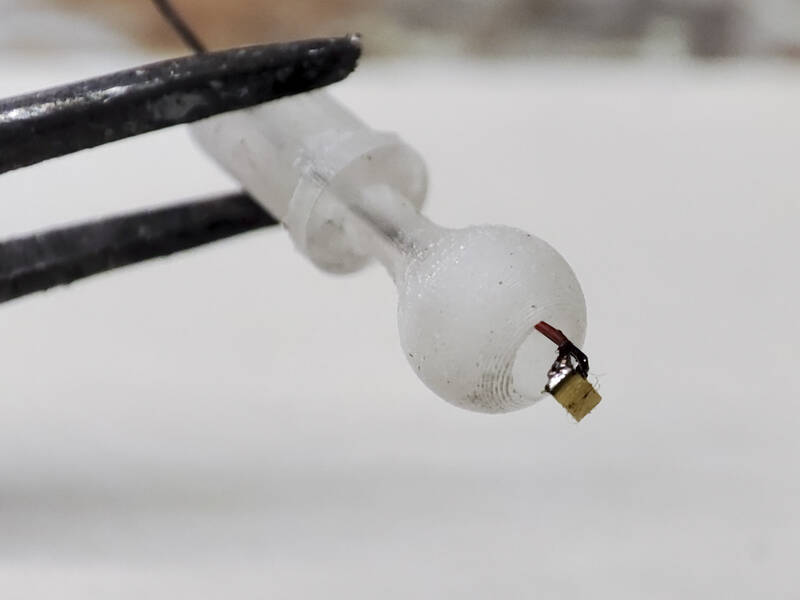 IMG_20251027_145456b