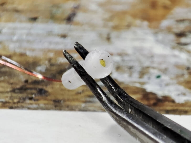 IMG_20251027_145708b