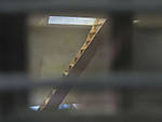 5715IMG_0015b.JPG