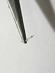 5715IMG_0137b.JPG