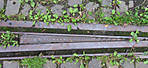 5715IMG_5494b1.JPG