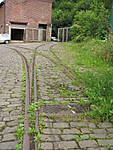 5715IMG_5498b1.JPG