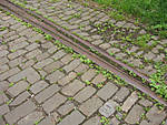 5715IMG_5499b1.JPG