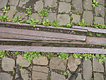 5715IMG_5500b1.JPG