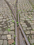 5715IMG_5502b1.JPG