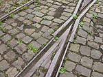 5715IMG_5503b1.JPG