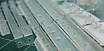 5715IMG_6605b.JPG