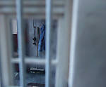 5715P1160971b-web.jpg