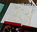 5715P1170200b.jpg