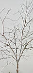 IMG_20230506_143446_1b.jpg