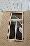 IMG_20250131_142839b.jpg