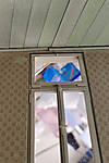 IMG_20250131_142858b.jpg