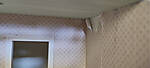 IMG_20250131_160616b.jpg