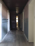 IMG_20250131_160935b.jpg