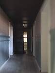 IMG_20250131_160948b.jpg