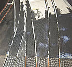 5715IMG_8259b.jpg