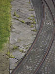 5715IMG_8384b.jpg
