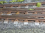 5715IMG_8388b.jpg