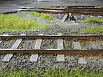5715IMG_8405b.jpg