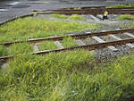 5715IMG_8407b.jpg