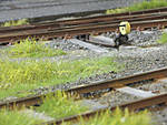 5715IMG_8411b.jpg