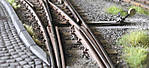 5715IMG_8414b.jpg