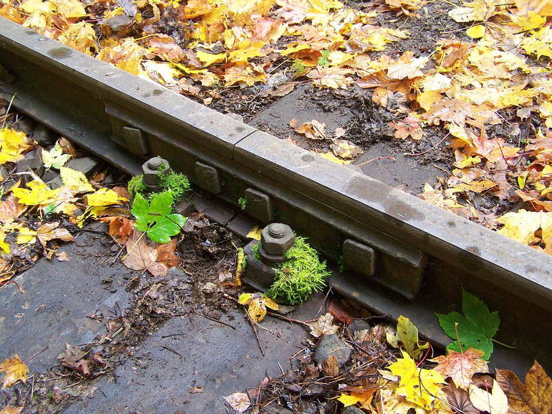 Aartalbahn 16.09.2012