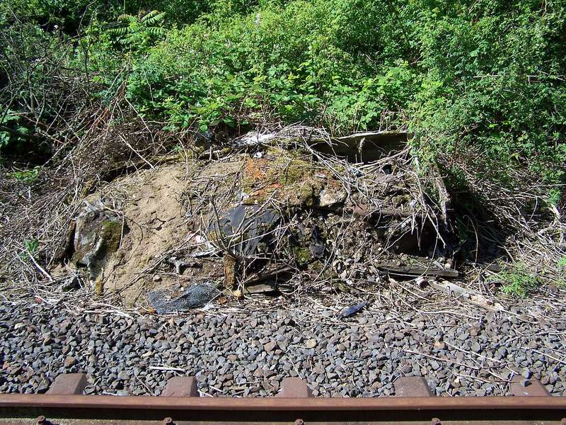 Aartalbahn 09.06.2012