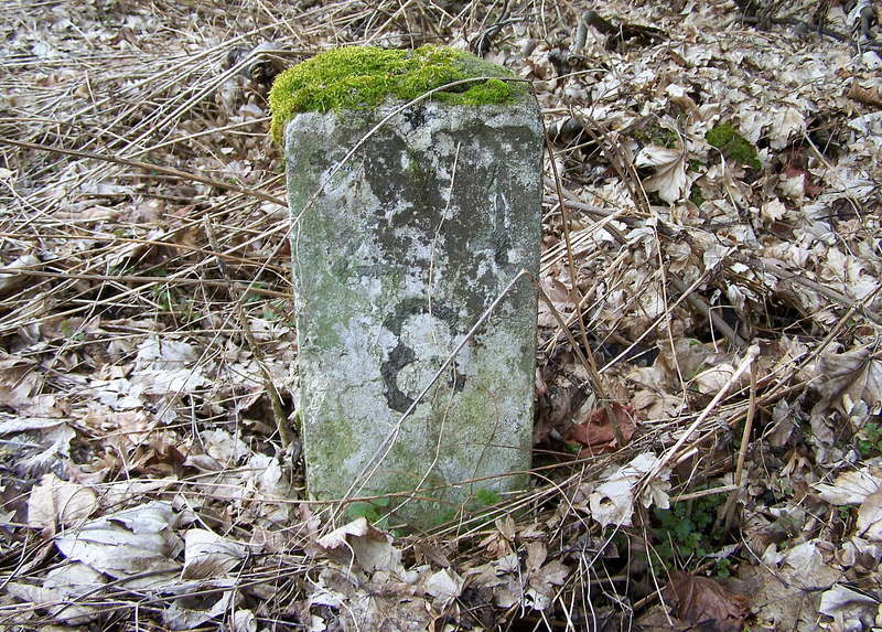 Aartalbahn 13.04.2013