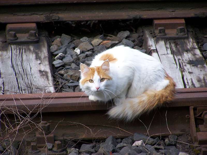 Aartalbahn 17.05.2012