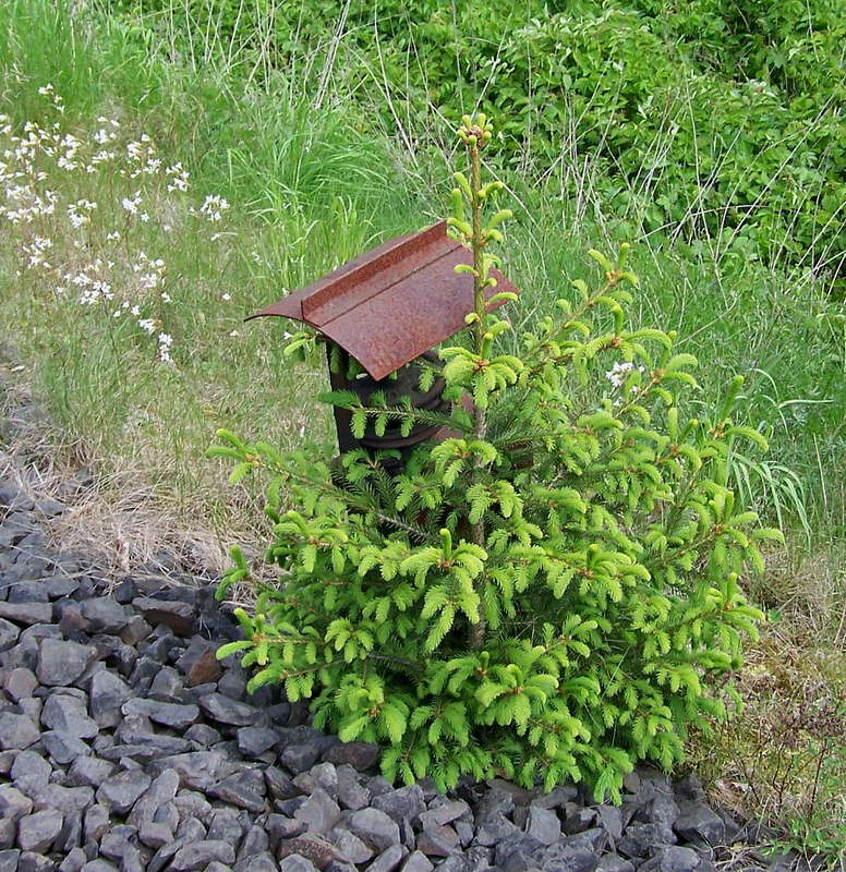 Aartalbahn 17.05.2012