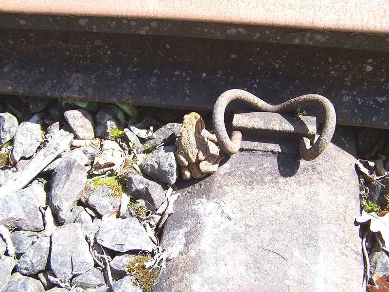 Aartalbahn 28.04.2012