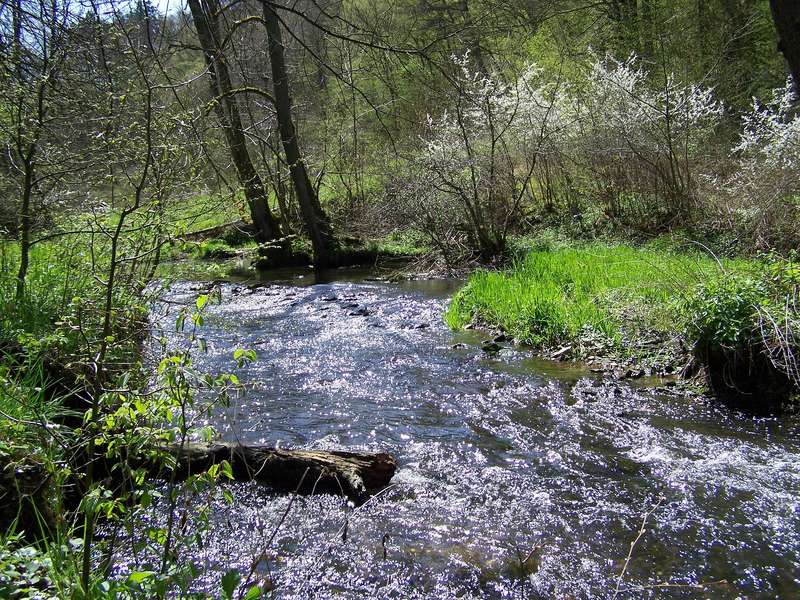 Aartalbahn 28.04.2012