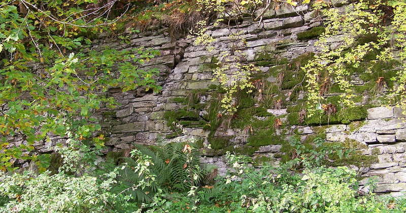 Aartalbahn 16.10.2012