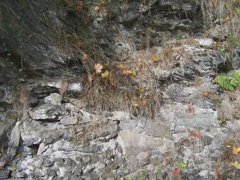 Aartalbahn 16.10.2012