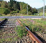 4346Aartalbahn_28_09_2014.jpg