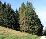4346Aartalbahn_28_09_2014_b.jpg