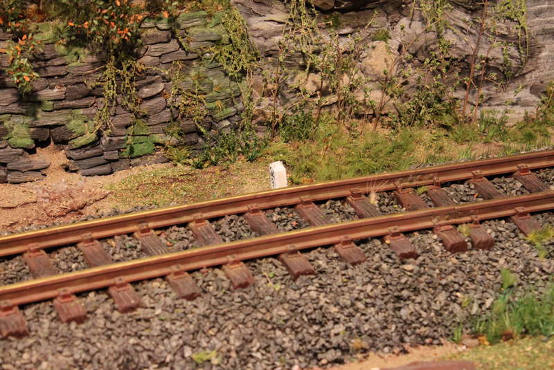 Aartalbahn 03.07.2015