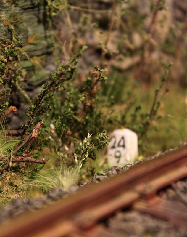 Aartalbahn 05.07.2015