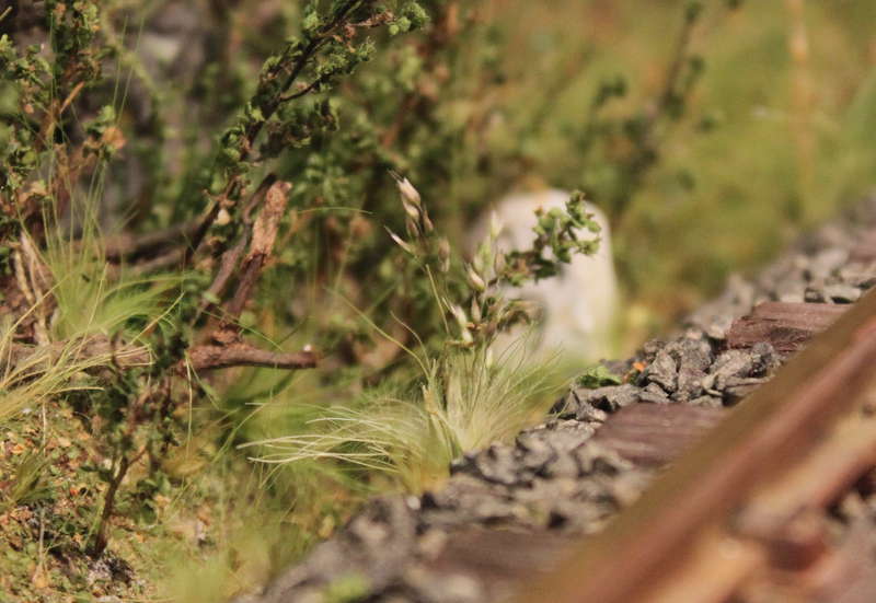 Aartalbahn 05.07.2015