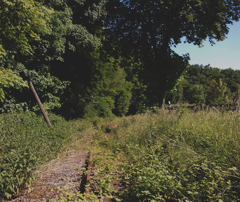 Aartalbahn 06.06.2014