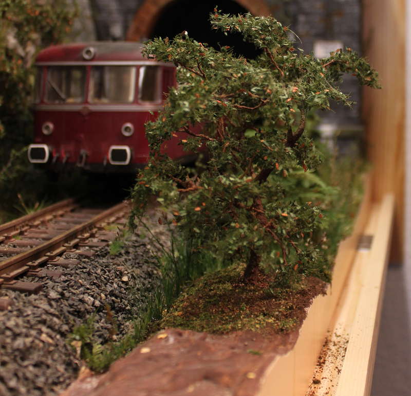 Aartalbahn 08.01.2016
